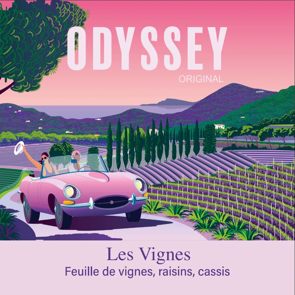 [PF-B35-VIG]  Les vignes - Boîte 35 sachets